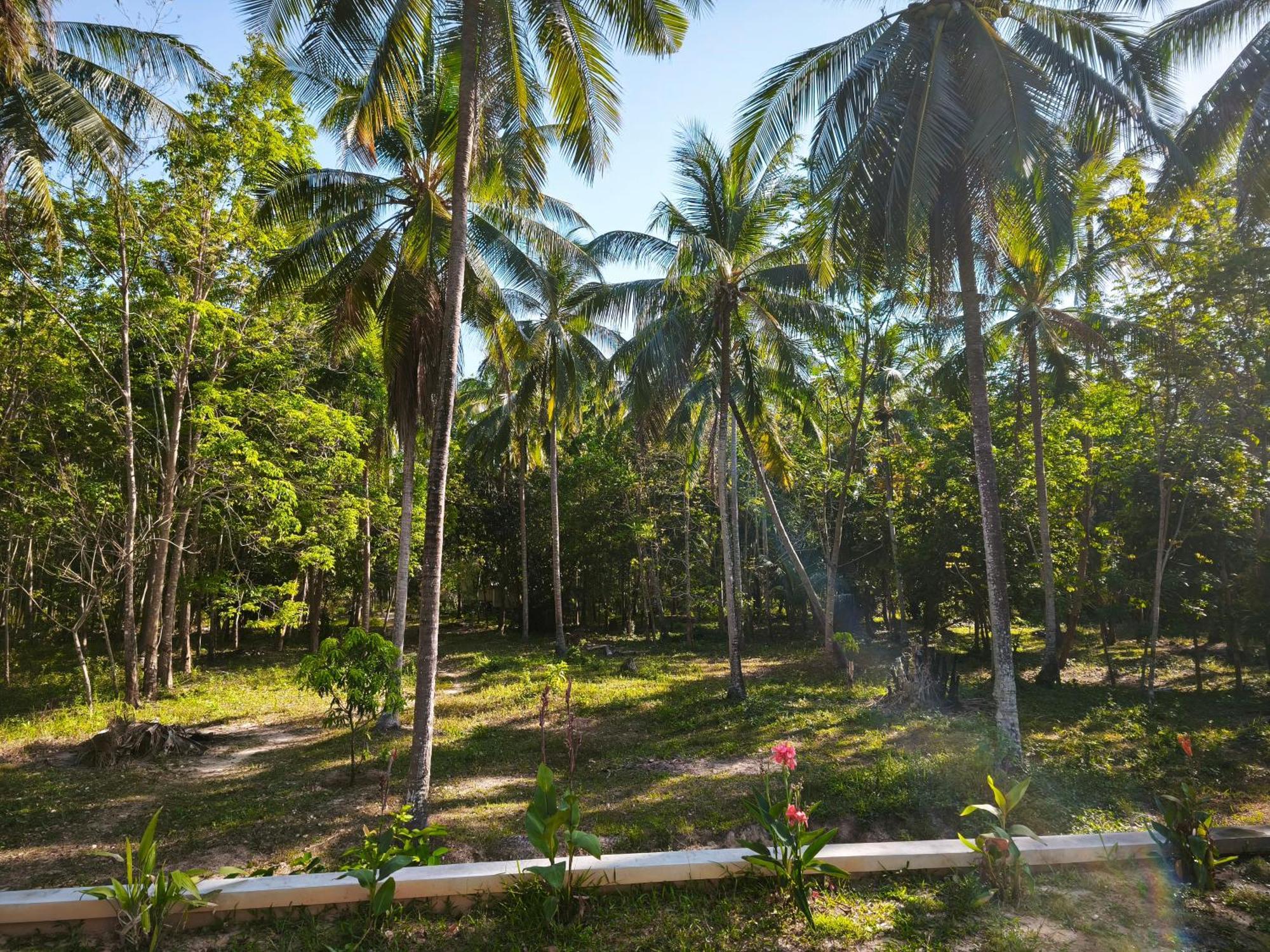 The Secret Garden Homestay Koh Yao Yai Ko Yao Eksteriør billede