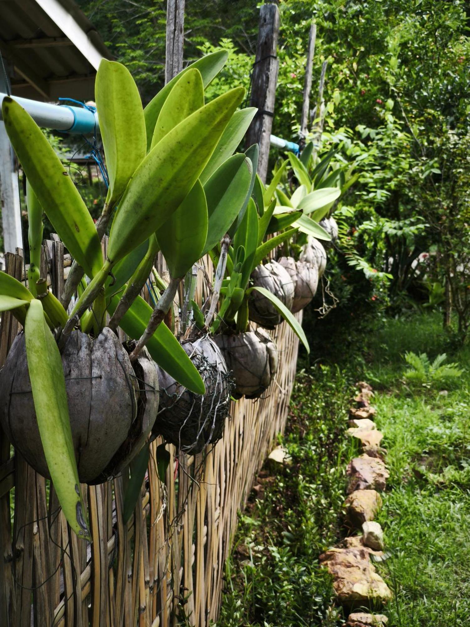The Secret Garden Homestay Koh Yao Yai Ko Yao Eksteriør billede